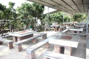 野餐户外烧烤野炊